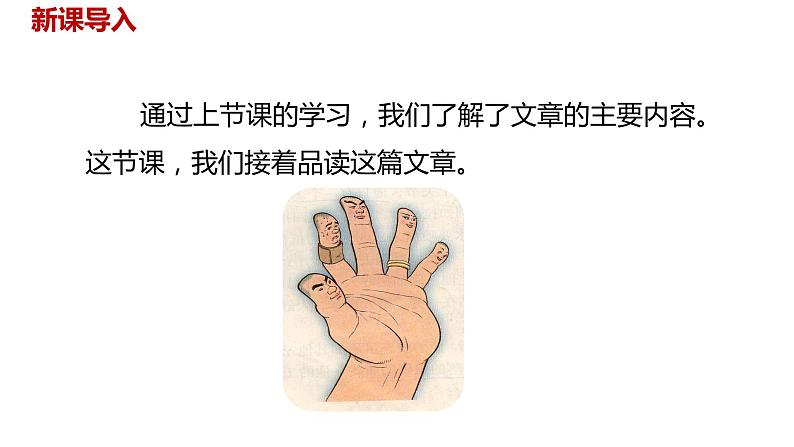 语文统编五（下）第8单元22《手指》课件PPT02
