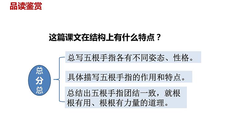 语文统编五（下）第8单元22《手指》课件PPT04