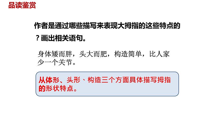语文统编五（下）第8单元22《手指》课件PPT06
