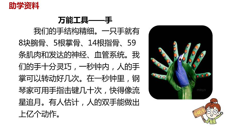 语文统编五（下）第8单元22《手指》课件PPT03