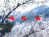 人教部编语文五年级下册4.梅花魂同步课件