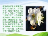 人教部编语文五年级下册4.梅花魂同步课件