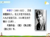 人教部编版四年级语文下册第11课《白桦》教学课件PPT小学优秀公开课