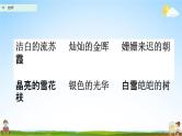 人教部编版四年级语文下册第11课《白桦》教学课件PPT小学优秀公开课