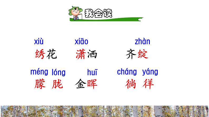 11.白桦初读感知课件第5页