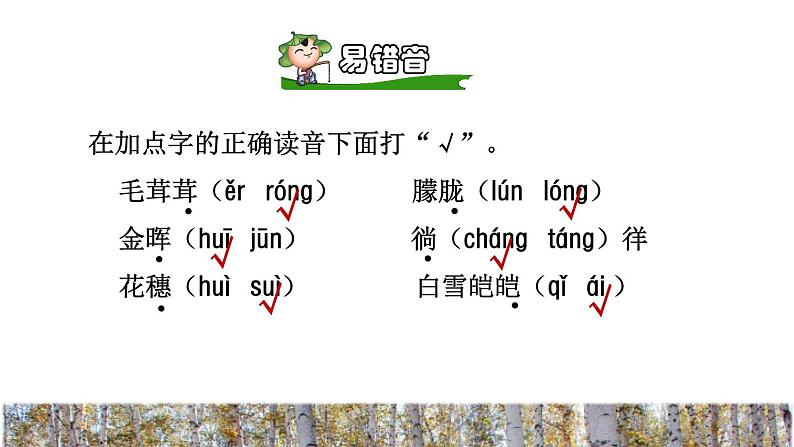 11.白桦初读感知课件第6页