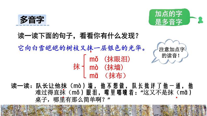 11.白桦初读感知课件第8页