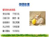 13.猫拓展积累课件