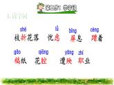 13.貓課前預(yù)習(xí)課件