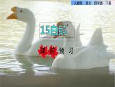15.白鵝課前預(yù)習(xí)課件