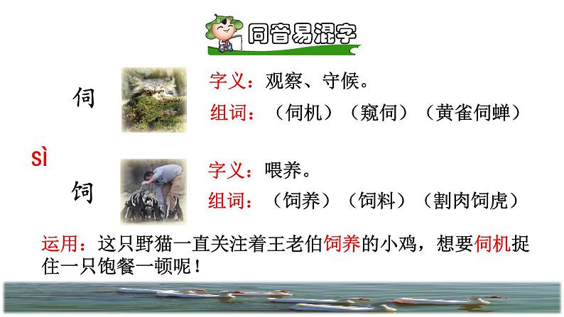 15.白鹅初读感知课件第7页