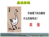15.白鹅品读释疑课件