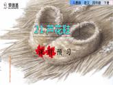 20.芦花鞋课前预习课件