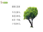 2022年部编语文二年级上册课件2树之歌
