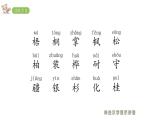 2022年部编语文二年级上册课件2树之歌