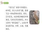 2022年部编语文二年级上册课件0寒号鸟