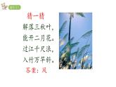 2022年部编语文二年级上册课件24-风娃娃
