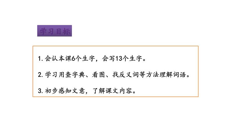 2022年部编语文三年级上册课件5《铺满金色巴掌的水泥道》课时课件第6页