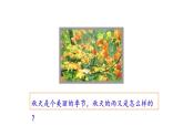 2022年部编语文三年级上册课件6《秋天的雨》课时课件