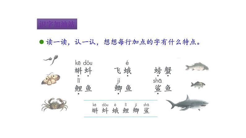 2022年部编语文三年级上册课件语文园地六第4页