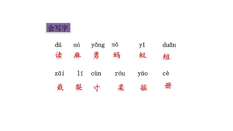 2022年部编语文三年级上册课件22 《读不完的大书》课时课件04