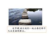 2022年部编语文五年级上册课件5  《搭石》课时课件