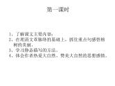 2022年部编语文五年级上册课件23 鸟的天堂（课时课件）