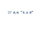 2022年部编语文五年级上册课件27.我的“长生果”（课时课件）