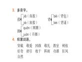 2022年部编语文三年级上册课件复习课件