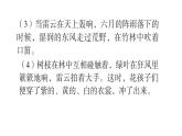 2022年部编语文三年级上册课件复习课件