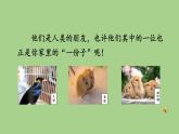 第七单元 养小动物 人教统编版二年级语文下册看图写话同步作文教学课件