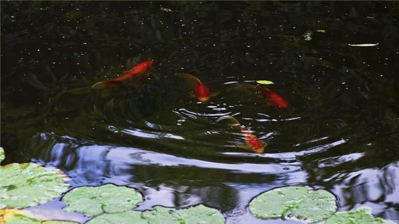 第7单元（   ）即景第3页