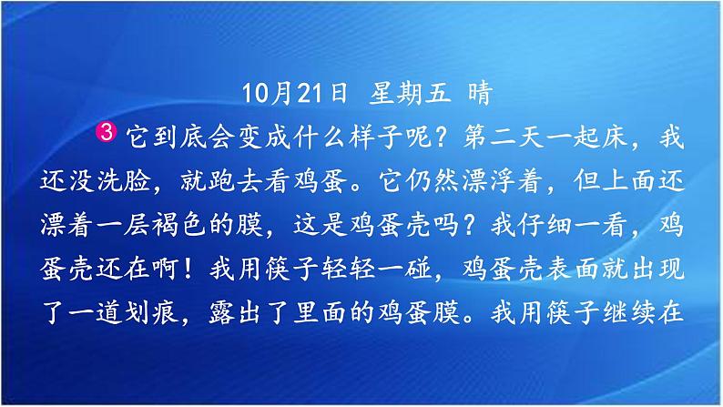 第三单元 写观察日记 人教统编版四年级语文上册同步作文教学课件PPT04