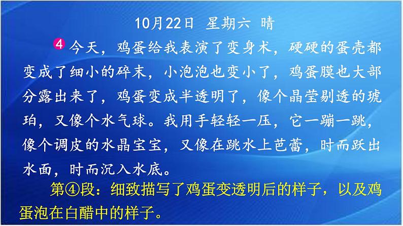 第三单元 写观察日记 人教统编版四年级语文上册同步作文教学课件PPT06