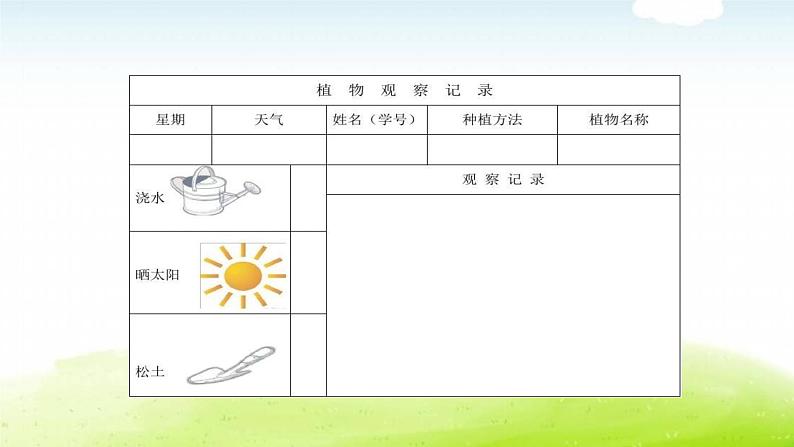 习作：我的植物朋友第6页