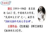 2022年部编版五年级下册课件+教案2 祖父的园子