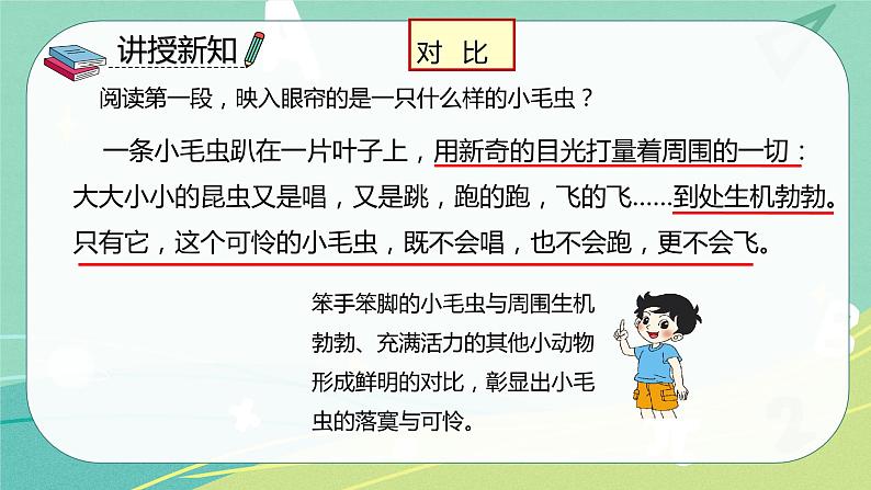 第22课小毛虫（课件）-二年级语文下册同步（部编版）第8页