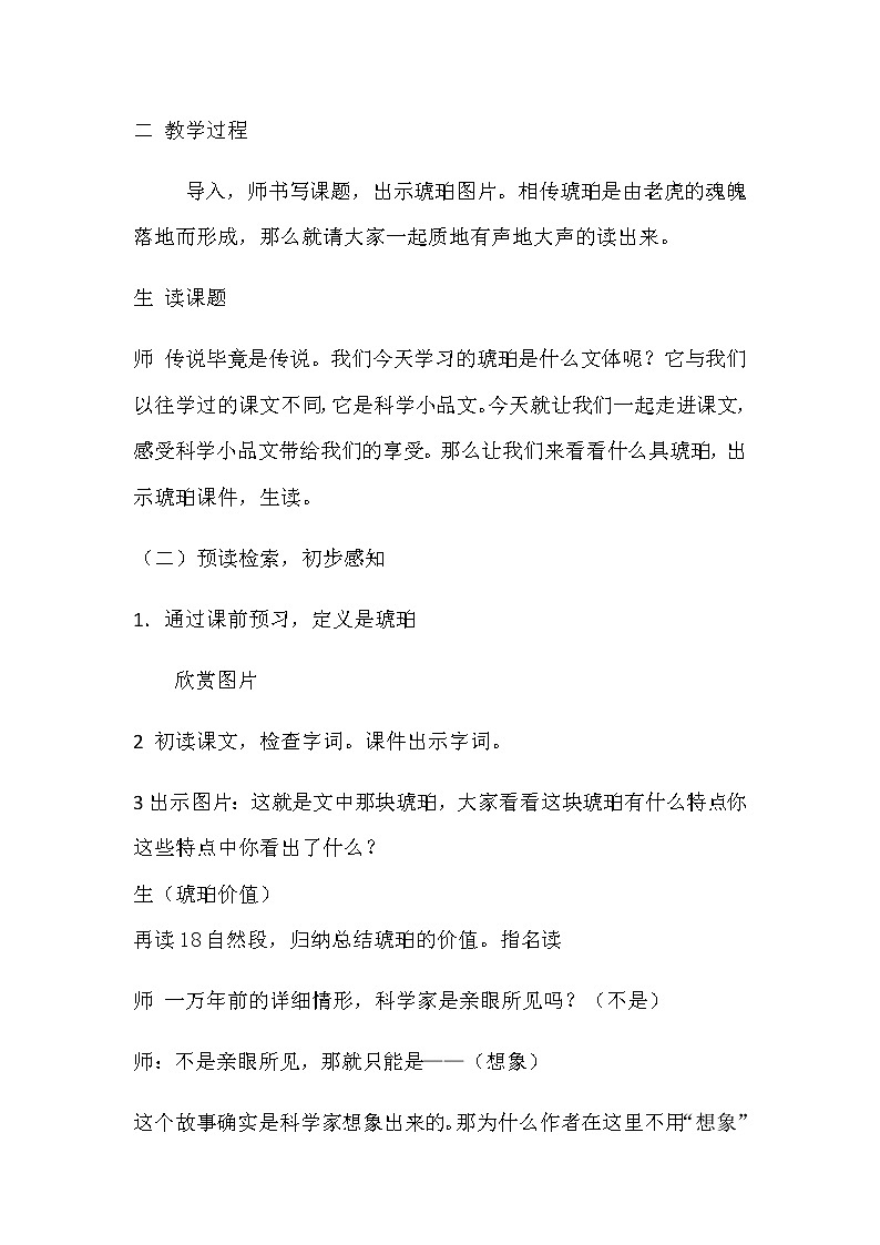 人教版（部编版四五制）小学语文四年级下册 5 琥珀  教案02