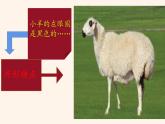 人教版（部編版四五制）小學(xué)語(yǔ)文四年級(jí)下冊(cè)  習(xí)作 我的動(dòng)物朋友 課件