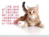 人教版（部編版四五制）小學(xué)語(yǔ)文四年級(jí)下冊(cè)  13.貓  課件