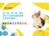 人教版（部編版四五制）小學(xué)語(yǔ)文四年級(jí)下冊(cè)  13.貓  課件