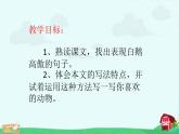 人教版（部編版四五制）小學(xué)語(yǔ)文四年級(jí)下冊(cè)  15 白鵝  課件