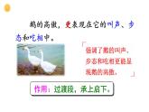 人教版（部編版四五制）小學(xué)語(yǔ)文四年級(jí)下冊(cè)  15 白鵝  課件