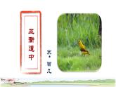 1 古诗三首——《三衢道中》品读释疑课件