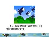2 燕子初读感知课件