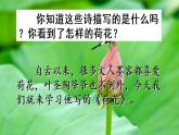 第一单元荷花课件PPT