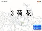 第一单元荷花课件PPT
