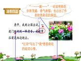 3 荷花品读释疑课件