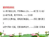 3 荷花拓展积累课件