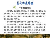12  一幅名扬中外的画拓展积累课件